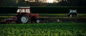 农产品供应链管理难点及典型咨询案例解析
